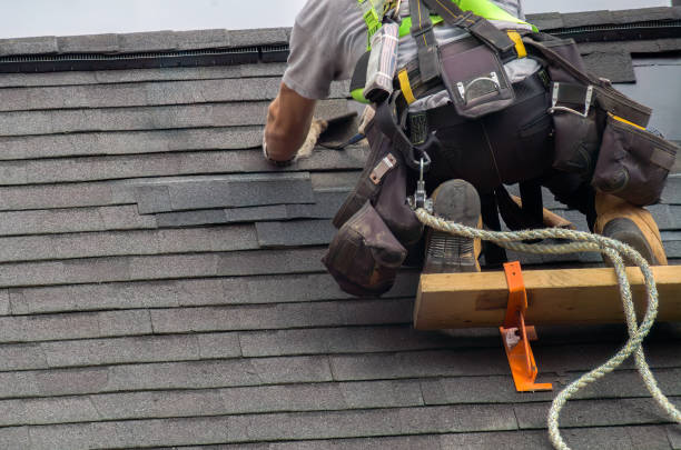 Roof Gutter Cleaning in Pittsville, MD