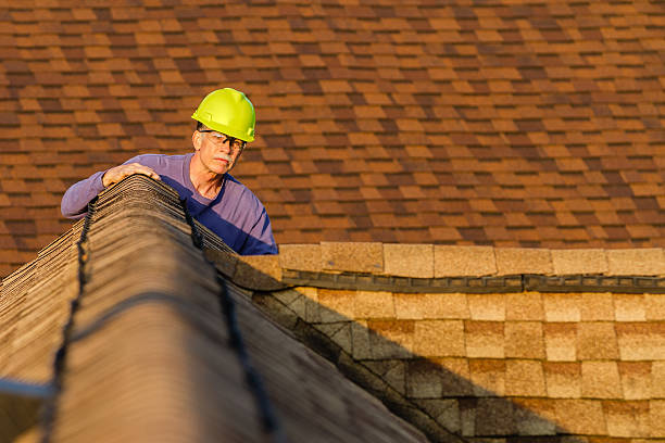 Best Roof Gutter Cleaning  in Pittsville, MD
